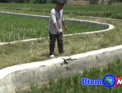 Diduga Markup Pembangunan Jalan Usaha Tani, Timbunannya tanpa Sirtu, Kades Sugiharjo Hariadi Putra Dilaporkan Warganya ke Inspektorat Deli Serdang