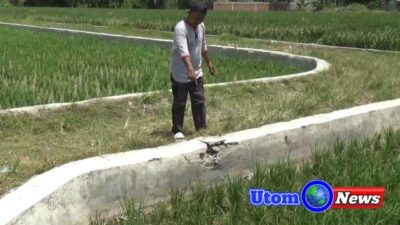 Diduga Markup Pembangunan Jalan Usaha Tani, Timbunannya tanpa Sirtu, Kades Sugiharjo Hariadi Putra Dilaporkan Warganya ke Inspektorat Deli Serdang