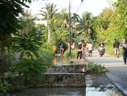 Banjir Sudah Surut, Hanya Tinggal 29 Desa di 5 Kecamatan Masih Tergenang