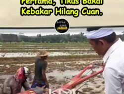 Bobibos: Revolusi BBM Anak Bangsa yang Menantang Dominasi Pertamina dengan Harga Supermurah Rp4.000/Liter.