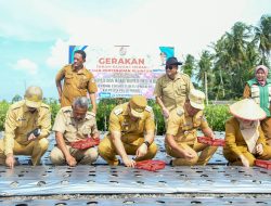 Gerakan Tanam Bawang Merah  Pemkab Gelorakan Semangat Petani Optimalkan Potensi Lahan