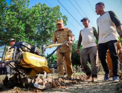 Untuk Jaga Stabilitas Harga, Bupati Deli Serdang Dorong Pembangunan Greenhouse