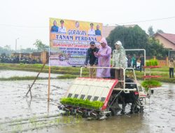 Penanaman Uji Coba IP 300, Target 1 Ha Hasilkan 9 Ton Bukan Hal Mustahil