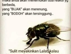 Lalat Busuk vs Bunga Wangi: Oleh; Hasan Basri Siregar ketua JWI Deli Serdang