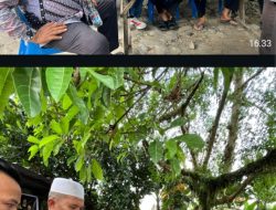 Giat Sosial Sopogodang Tabagsel: 140 Paket Santunan Jelang Ramadhan di Bagikan 