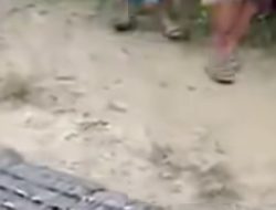 Tragedi Mengguncang Simeulue: Ibu Muda 36 Tahun ‘Dikoyak Buaya 4 Meter’ Saat Cari Kerang di Sungai !
