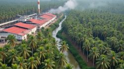 Rp 335 Triliun MBG Setara 11.000 Pabrik Sawit: Tiap Provinsi Berpotensi Dapat 290 Unit. Oleh Hasan Basri Siregar ketua JWI Deli Serdang.