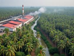 Rp 335 Triliun MBG Setara 11.000 Pabrik Sawit: Tiap Provinsi Berpotensi Dapat 290 Unit. Oleh Hasan Basri Siregar ketua JWI Deli Serdang.