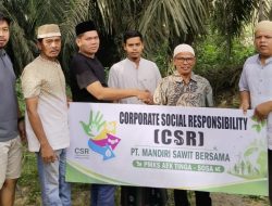 Idul Adha 2026, PT MSB Aek Tinga Sembelih 2 Ekor Hewan Kurban Berbagi ke Masyarakat