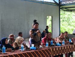 Hortikultura STM Hulu Digenjot: Pemkab Delser Siapkan Benih, Bimbingan & Akses Pasar untuk Petani Milenial     STM Hulu Jadi Lumbung Bawang Merah & Cabai Masa Depan Deli Serdang  