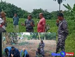 Oknum Angkatan Laut Kodaeral I Pindah ke Darat Buat Mengelola Lahan Pertanian di Tanah Kelompok Tani Tanjung Morawa