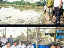 Bupati Asri Ludin Tolak Patokan 300M², Pilih Desil 1-5 Untuk Pembebasan PBB “Rumah Mewah 200M² Tidak Bisa Gratis”