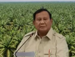DSI dan Kedaulatan Harga Sawit ; Kebijakan Ekonomi Strategis Era Presiden Prabowo Dalam Mematahkan Struktur Tekanan Harga Global