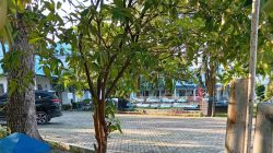 Dinas SDAMBK Deli Serdang Belum Memberikan Tanggapan atas Permintaan Data Proyek, Aspal Baru Sebulan Dilaporkan Terkelupas di Beringin dan Pagar Merbau