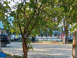 Dinas SDAMBK Deli Serdang Belum Memberikan Tanggapan atas Permintaan Data Proyek, Aspal Baru Sebulan Dilaporkan Terkelupas di Beringin dan Pagar Merbau