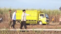 Panen Raya Serentak 43 Titik: TNI & Petani Antarkan Indonesia Menuju Swasembada Pangan
