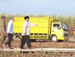 Panen Raya Serentak 43 Titik: TNI & Petani Antarkan Indonesia Menuju Swasembada Pangan